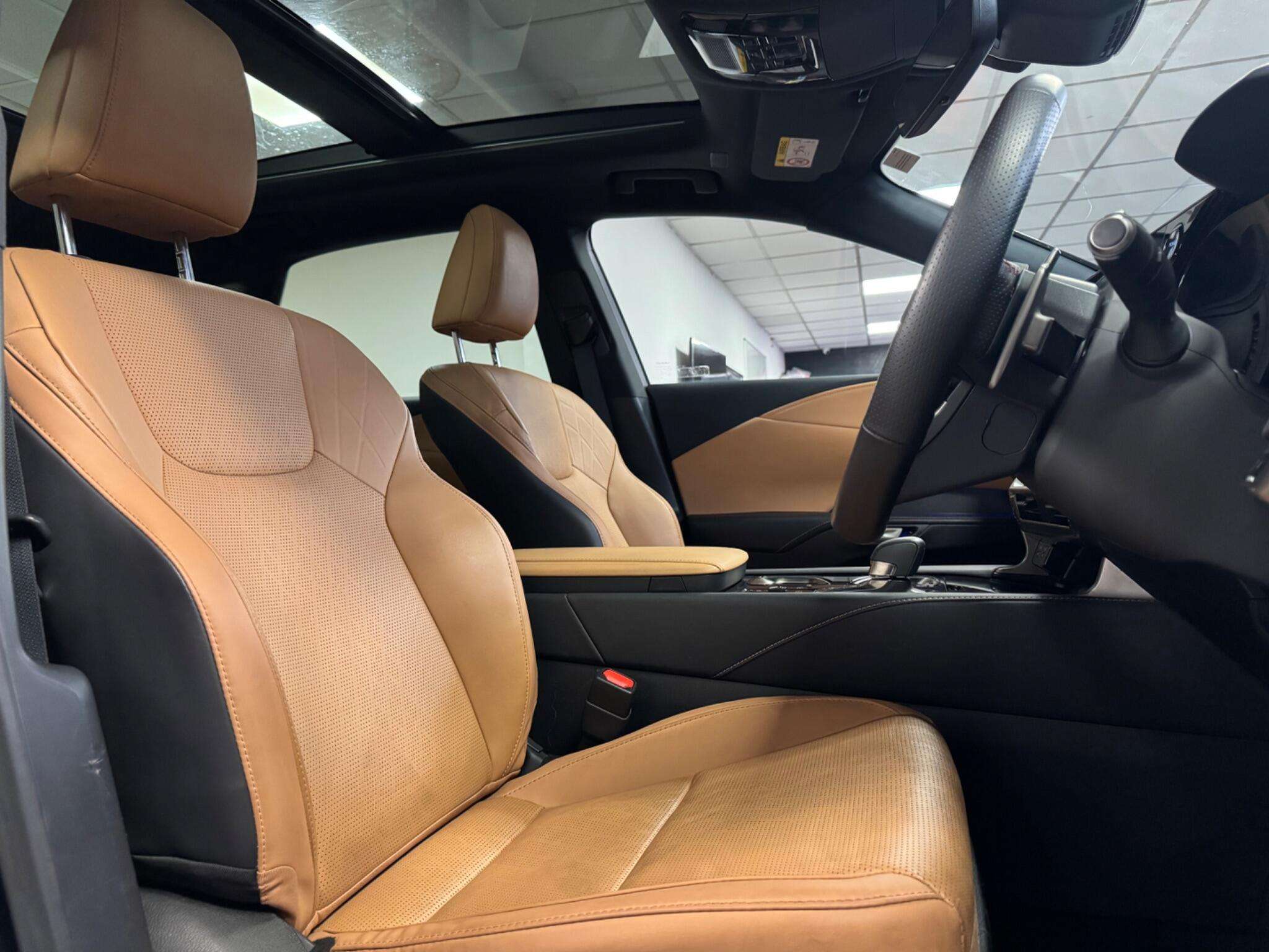 2024 LEXUS RX 2024 LEXUS RX