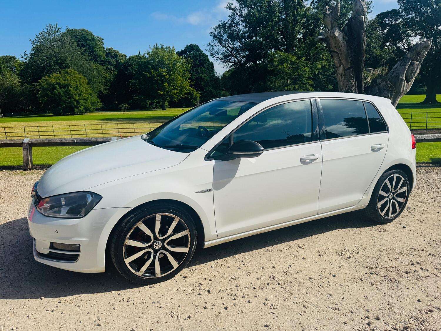2014 VOLKSWAGEN GOLF 2014 VOLKSWAGEN GOLF