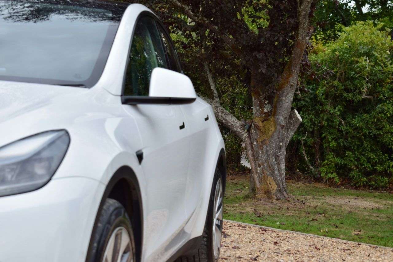 2022 TESLA MODEL Y 2022 TESLA MODEL Y