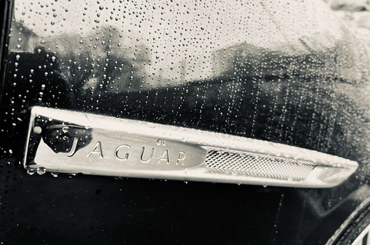 2011 JAGUAR 100 2011 JAGUAR 100