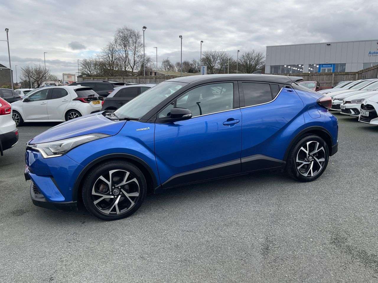 2017 TOYOTA C-HR 2017 TOYOTA C-HR