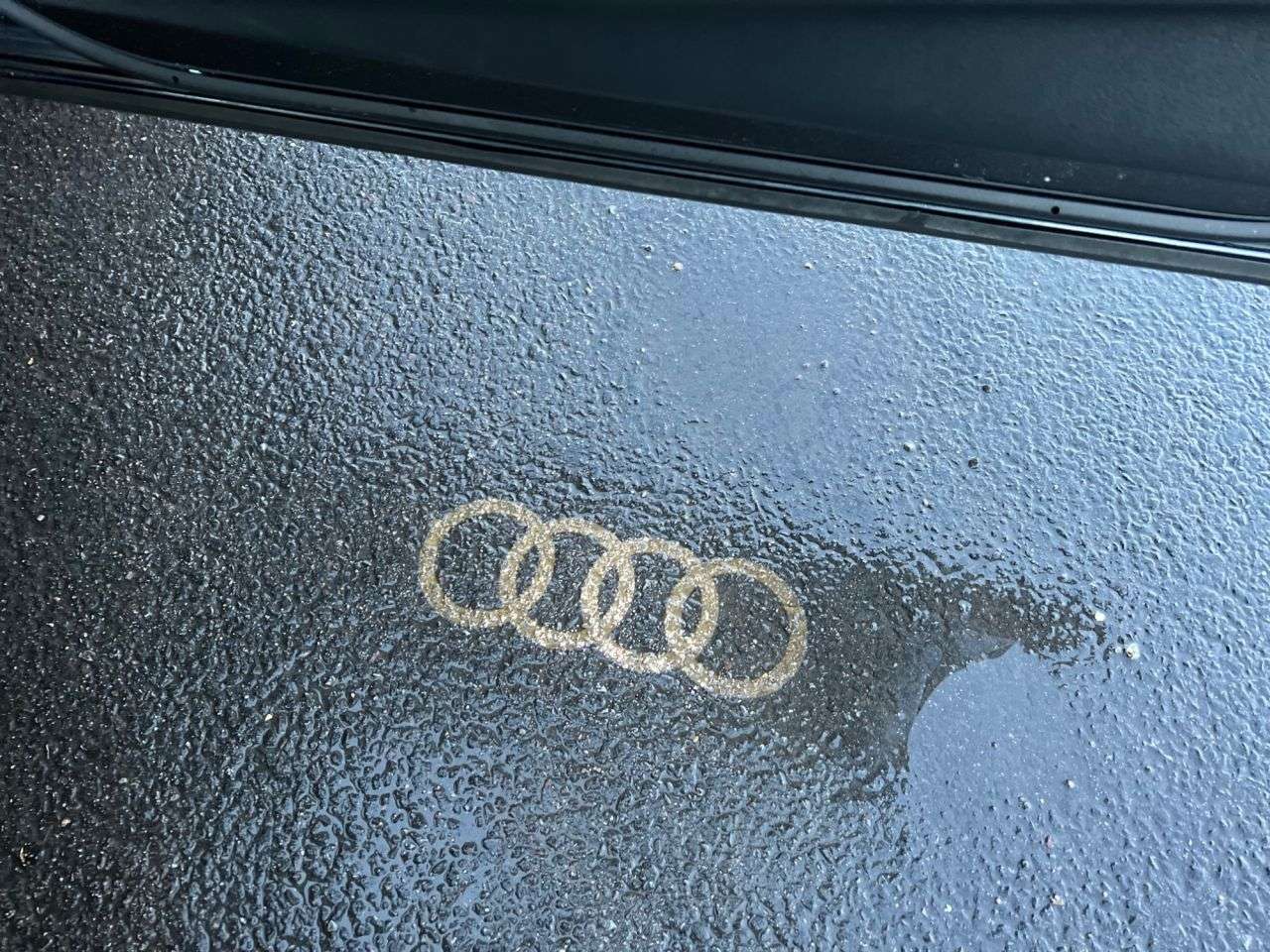 2019 AUDI Q5 2019 AUDI Q5
