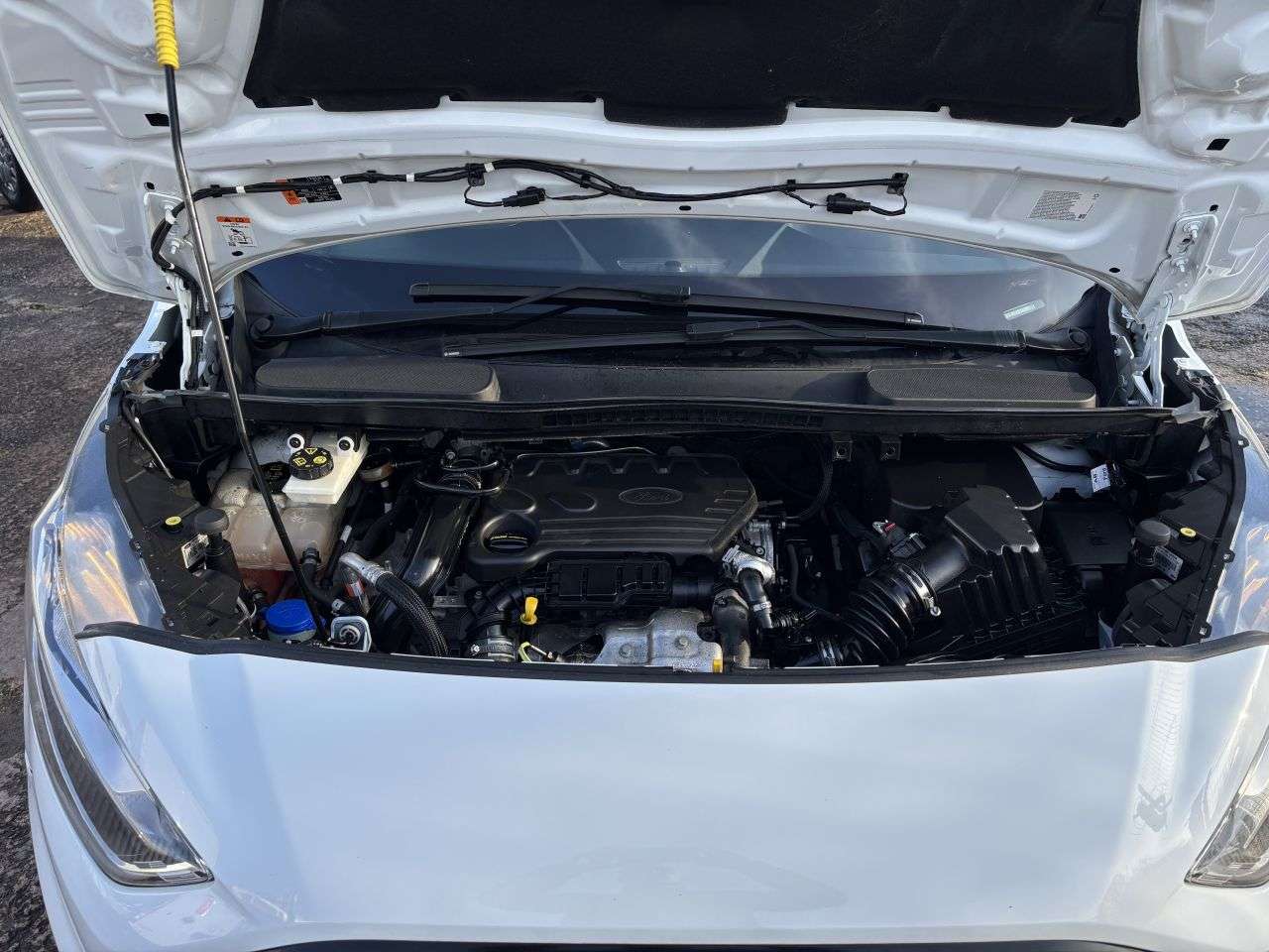 2019 FORD TRANSIT CONNECT 2019 FORD TRANSIT CONNECT