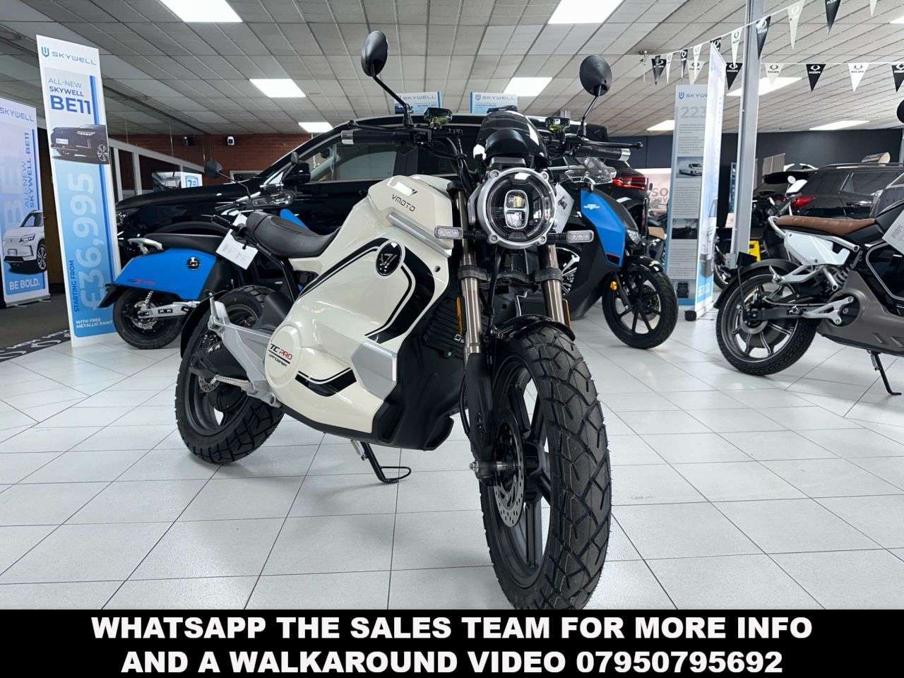 null VMOTO TC WANDERER null VMOTO TC WANDERER