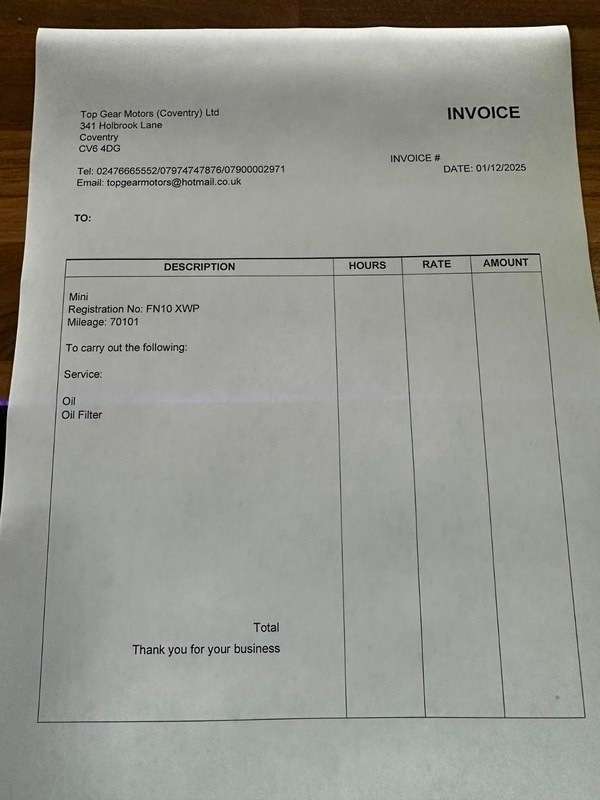 2010 MINI MINI 2010 MINI MINI