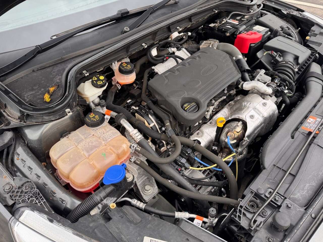 2018 FORD FOCUS 2018 FORD FOCUS