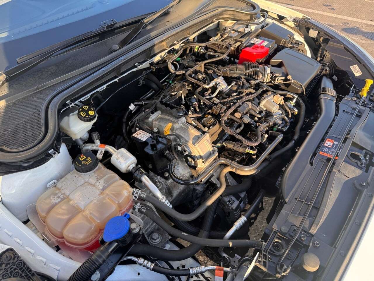 2022 FORD FOCUS 2022 FORD FOCUS