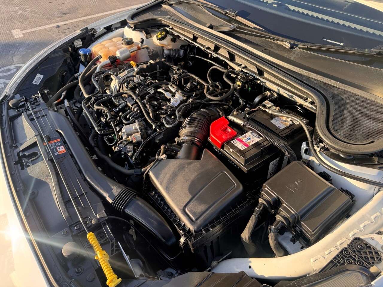 2022 FORD FOCUS 2022 FORD FOCUS