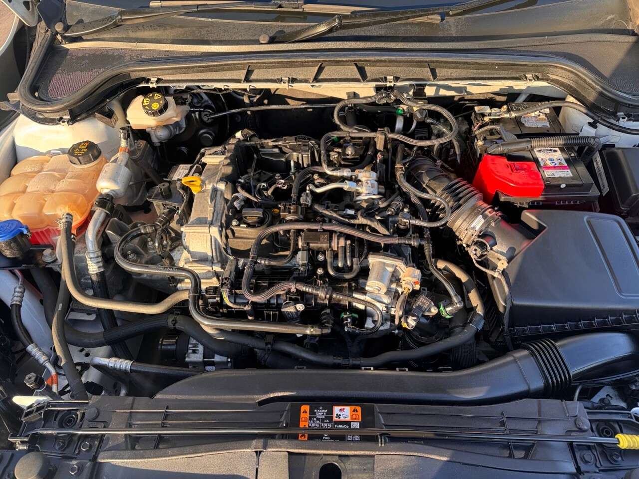 2022 FORD FOCUS 2022 FORD FOCUS