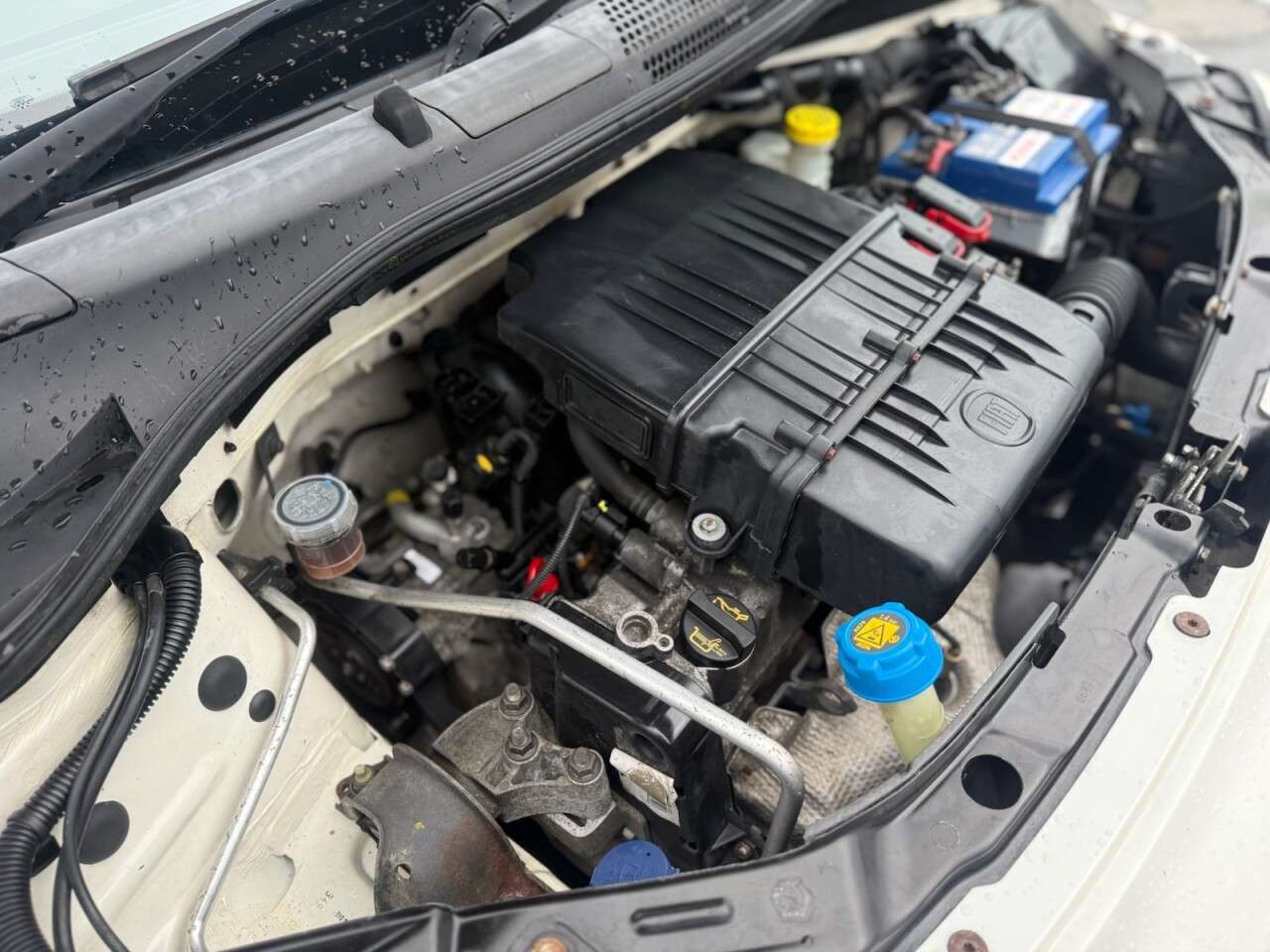 2009 FIAT 500 2009 FIAT 500