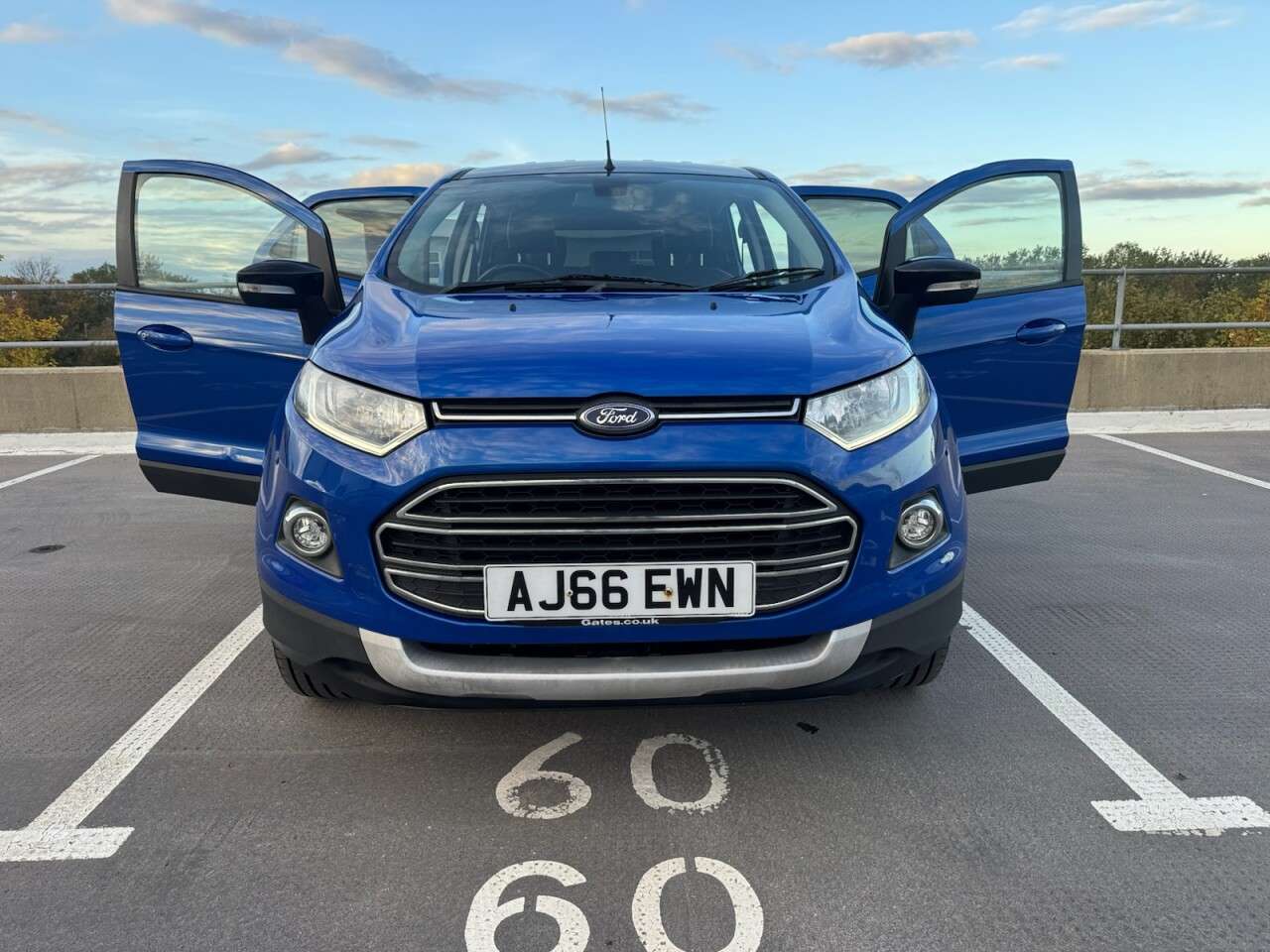 2017 FORD ECOSPORT 2017 FORD ECOSPORT