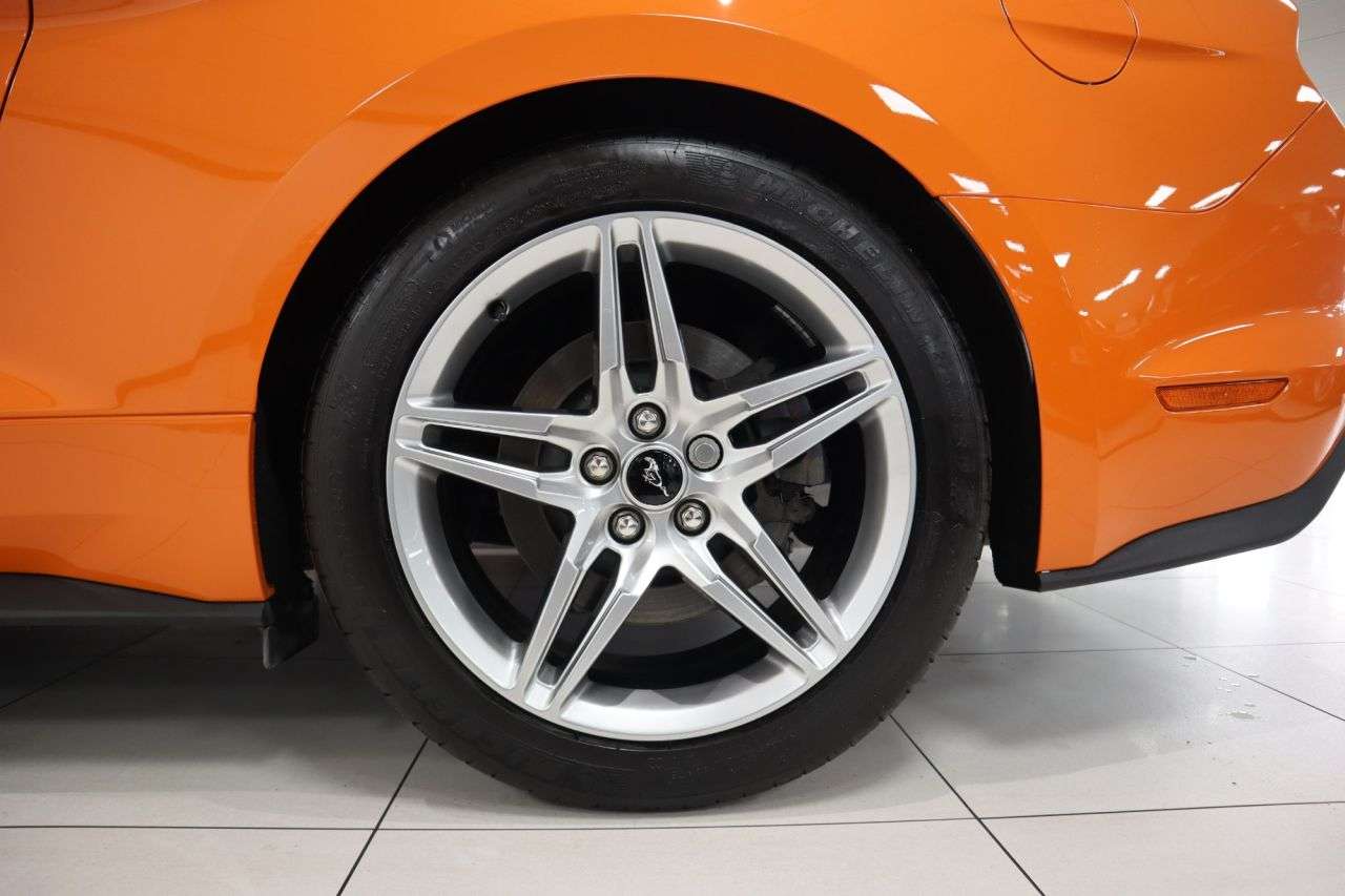 2019 FORD MUSTANG 2019 FORD MUSTANG