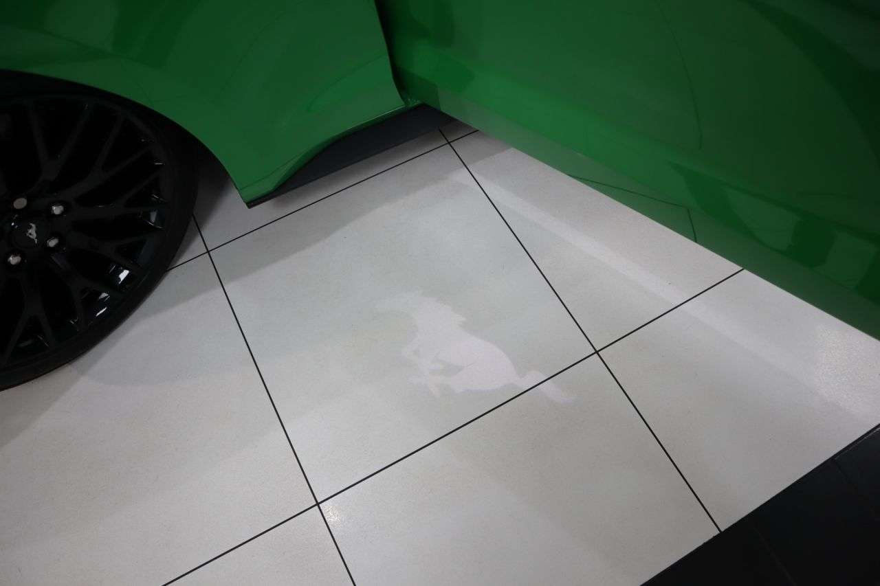 2019 FORD MUSTANG 2019 FORD MUSTANG