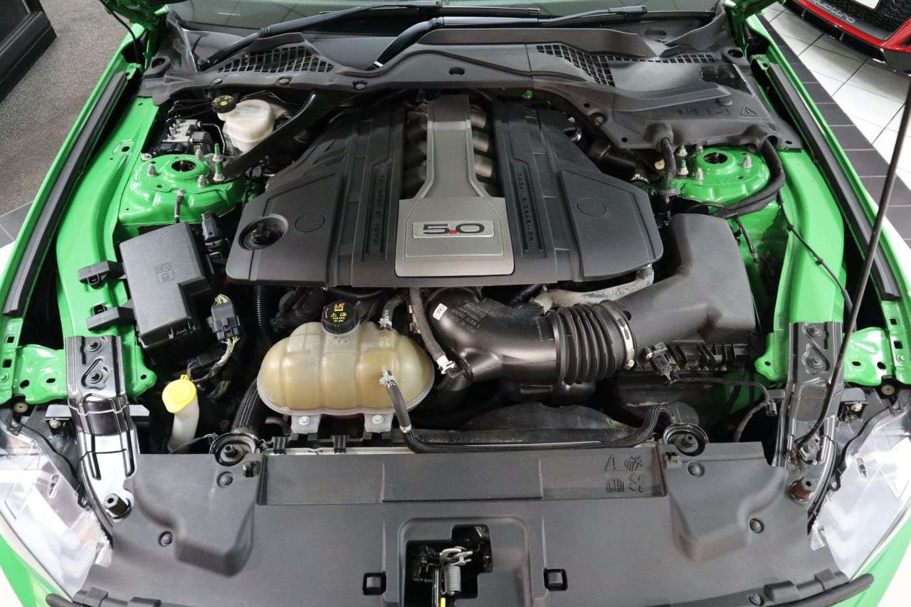 2019 FORD MUSTANG 2019 FORD MUSTANG