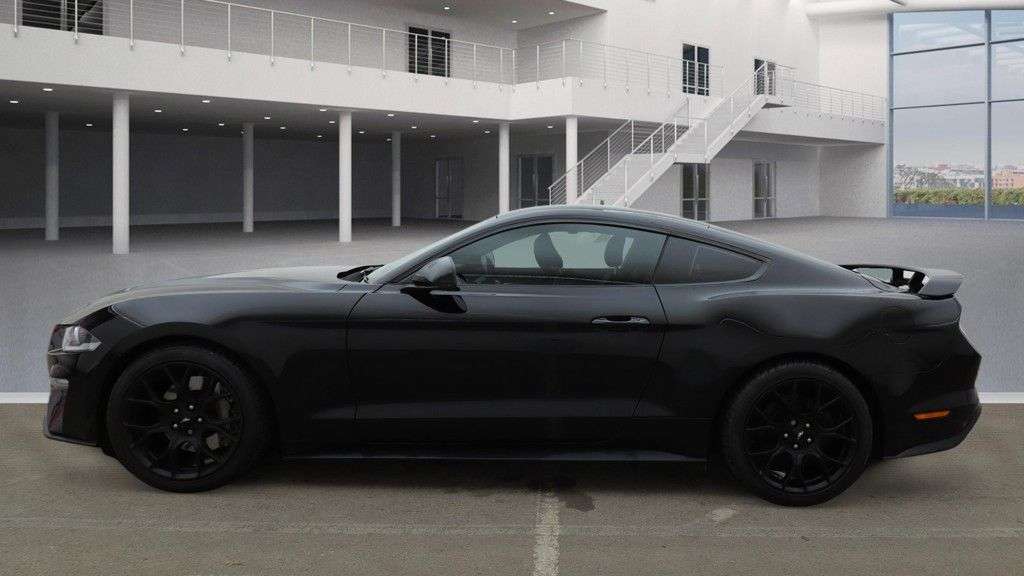 2019 FORD MUSTANG 2019 FORD MUSTANG
