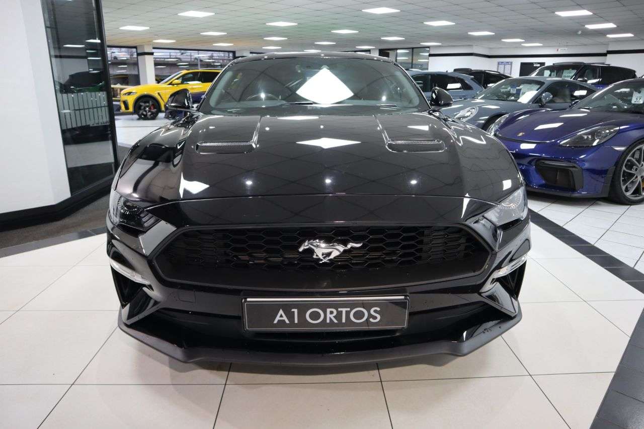 A 2019 FORD MUSTANG ECOBOOST A 2019 FORD MUSTANG ECOBOOST
