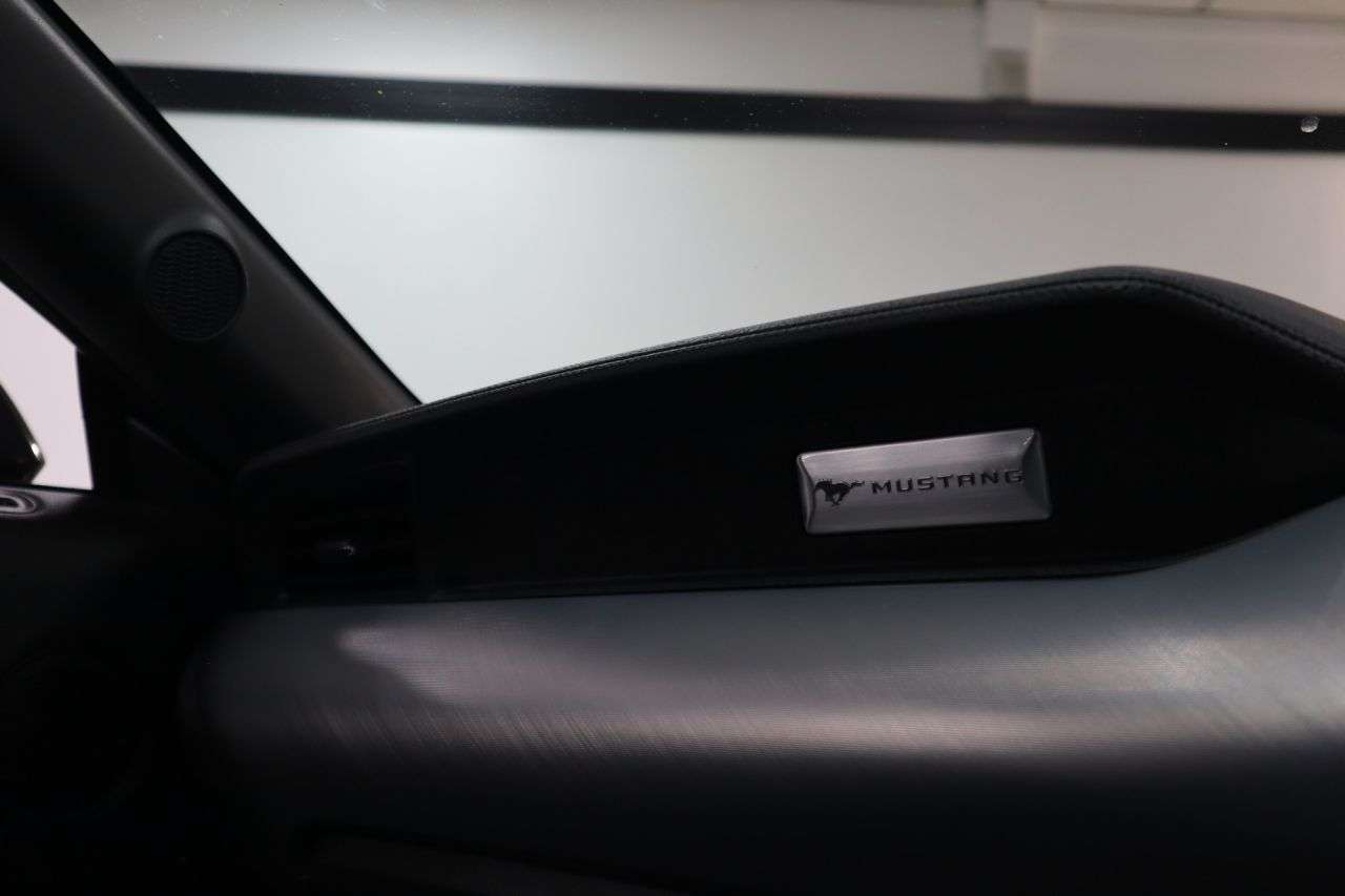 2019 FORD MUSTANG 2019 FORD MUSTANG