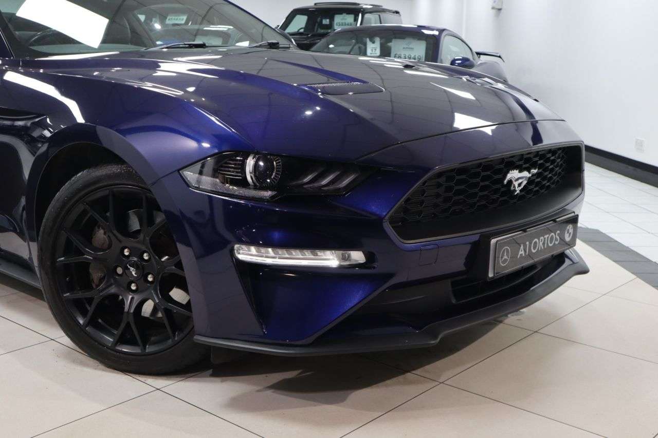 2019 FORD MUSTANG 2019 FORD MUSTANG