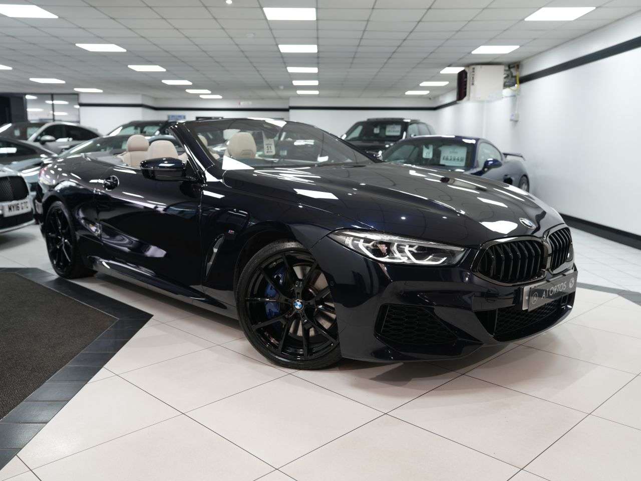 2019 BMW 8 SERIES 2019 BMW 8 SERIES