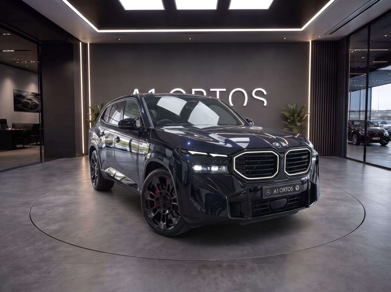 2025 BMW XM 2025 BMW XM