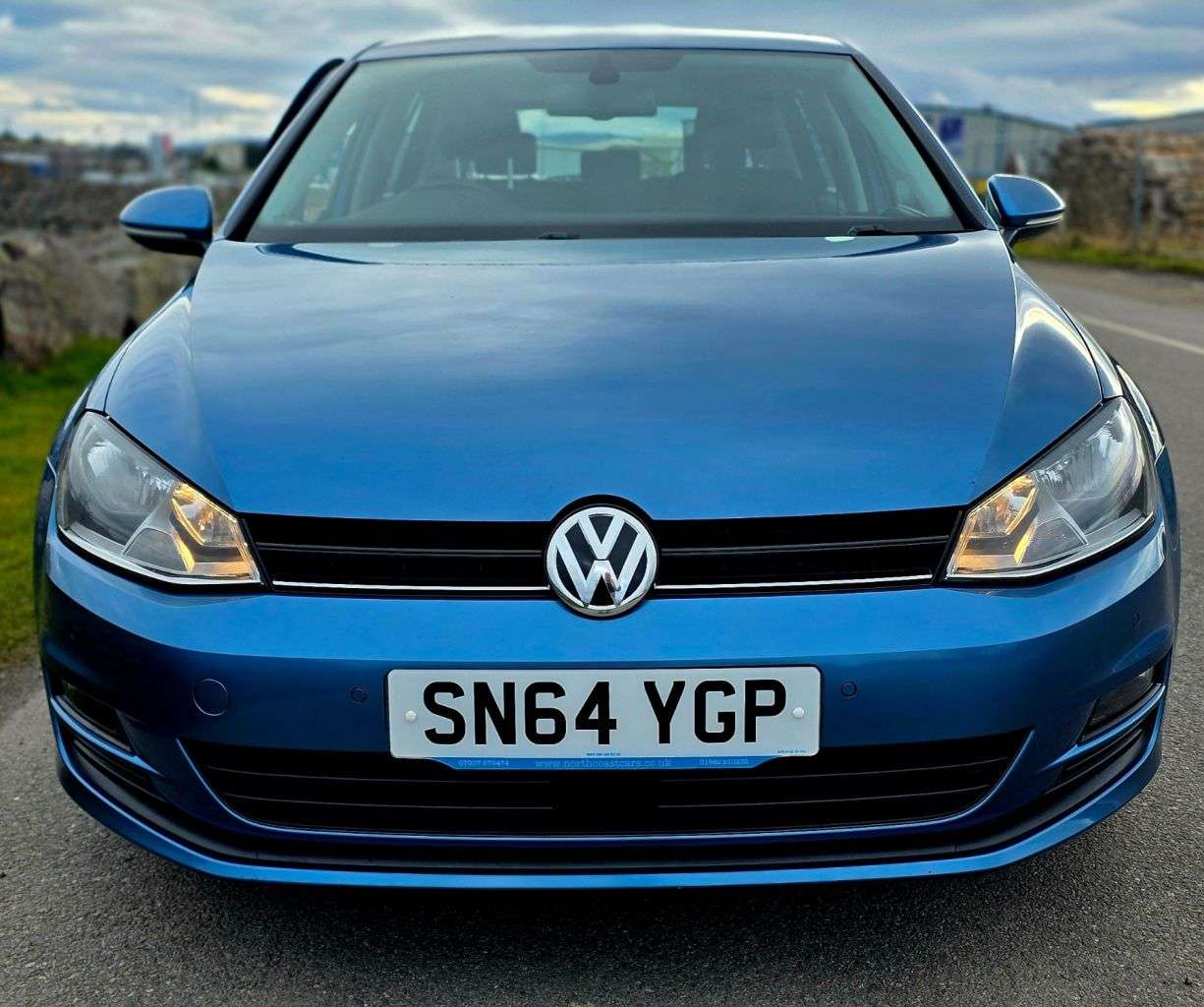 2014 VOLKSWAGEN GOLF 2014 VOLKSWAGEN GOLF