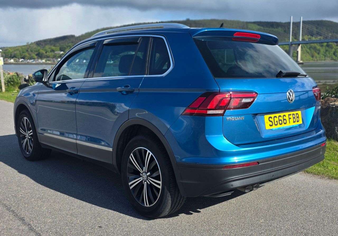 2016 VOLKSWAGEN TIGUAN 2016 VOLKSWAGEN TIGUAN