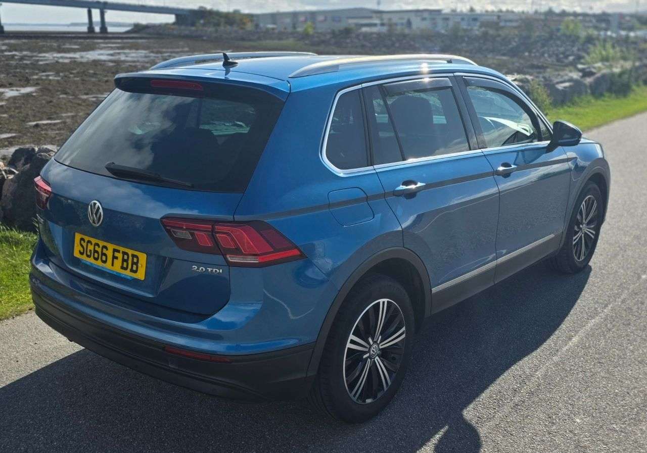 2016 VOLKSWAGEN TIGUAN 2016 VOLKSWAGEN TIGUAN