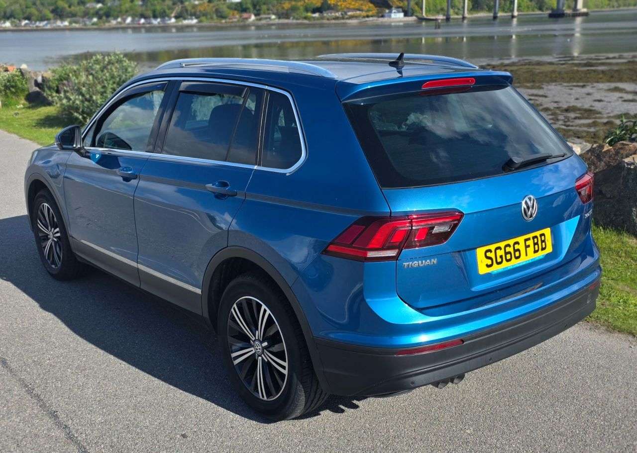 2016 VOLKSWAGEN TIGUAN 2016 VOLKSWAGEN TIGUAN