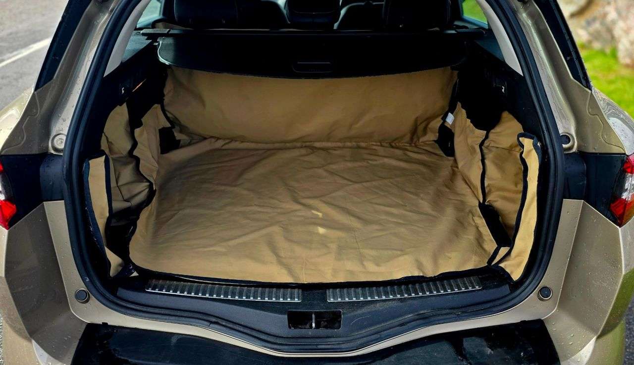 2017 RENAULT MEGANE 2017 RENAULT MEGANE