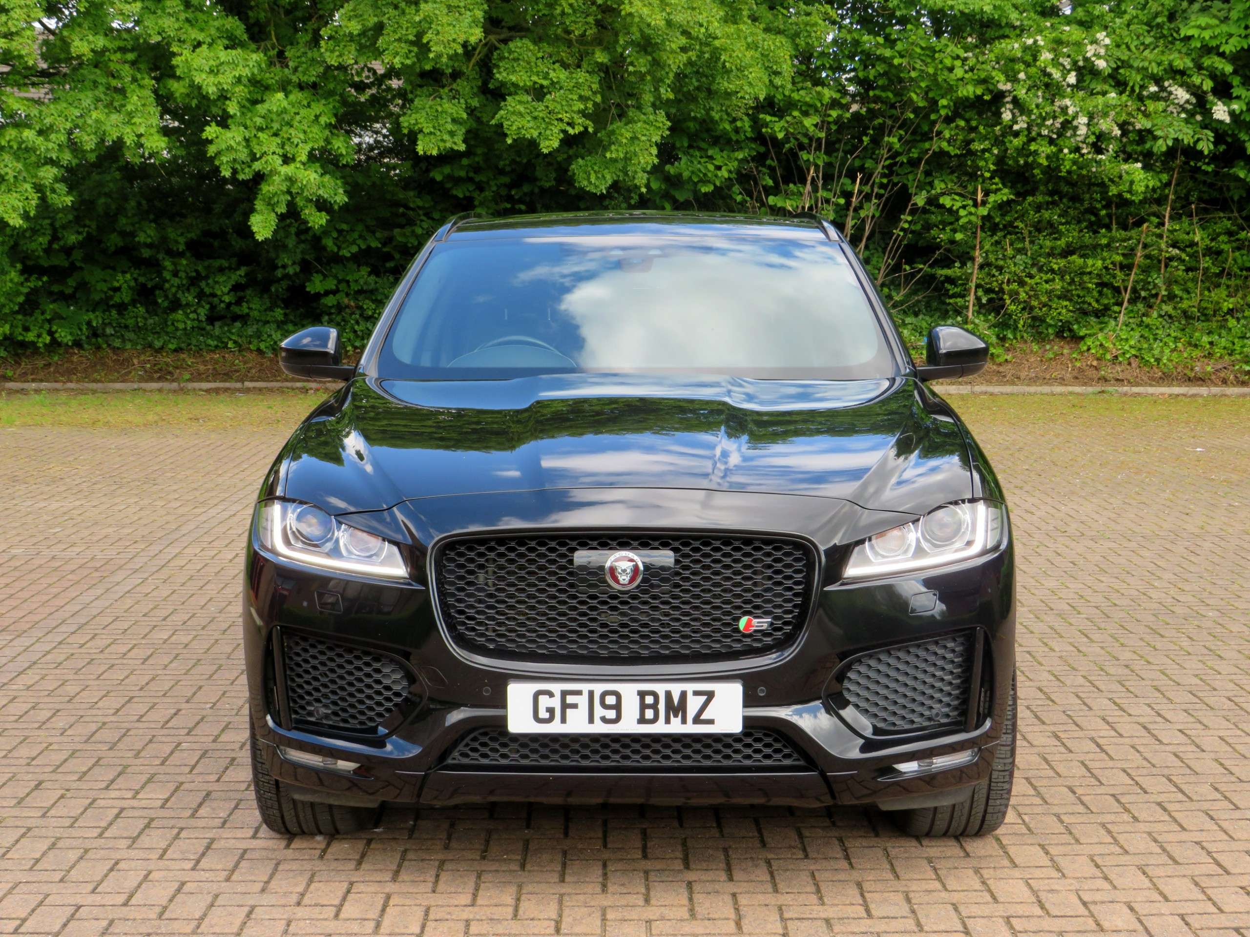 2019 JAGUAR F-PACE 2019 JAGUAR F-PACE