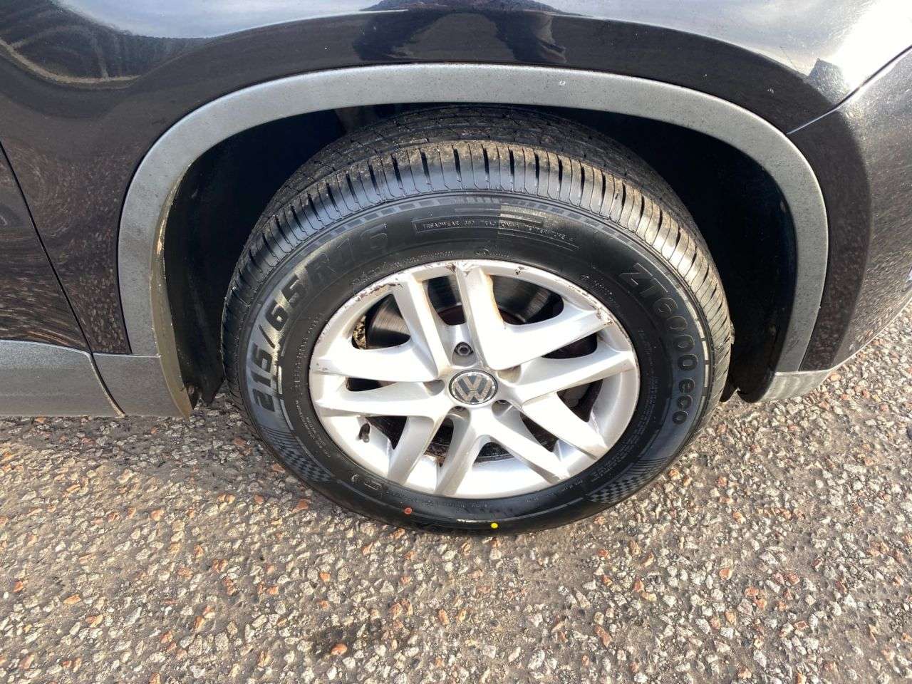 2009 VOLKSWAGEN TIGUAN 2009 VOLKSWAGEN TIGUAN