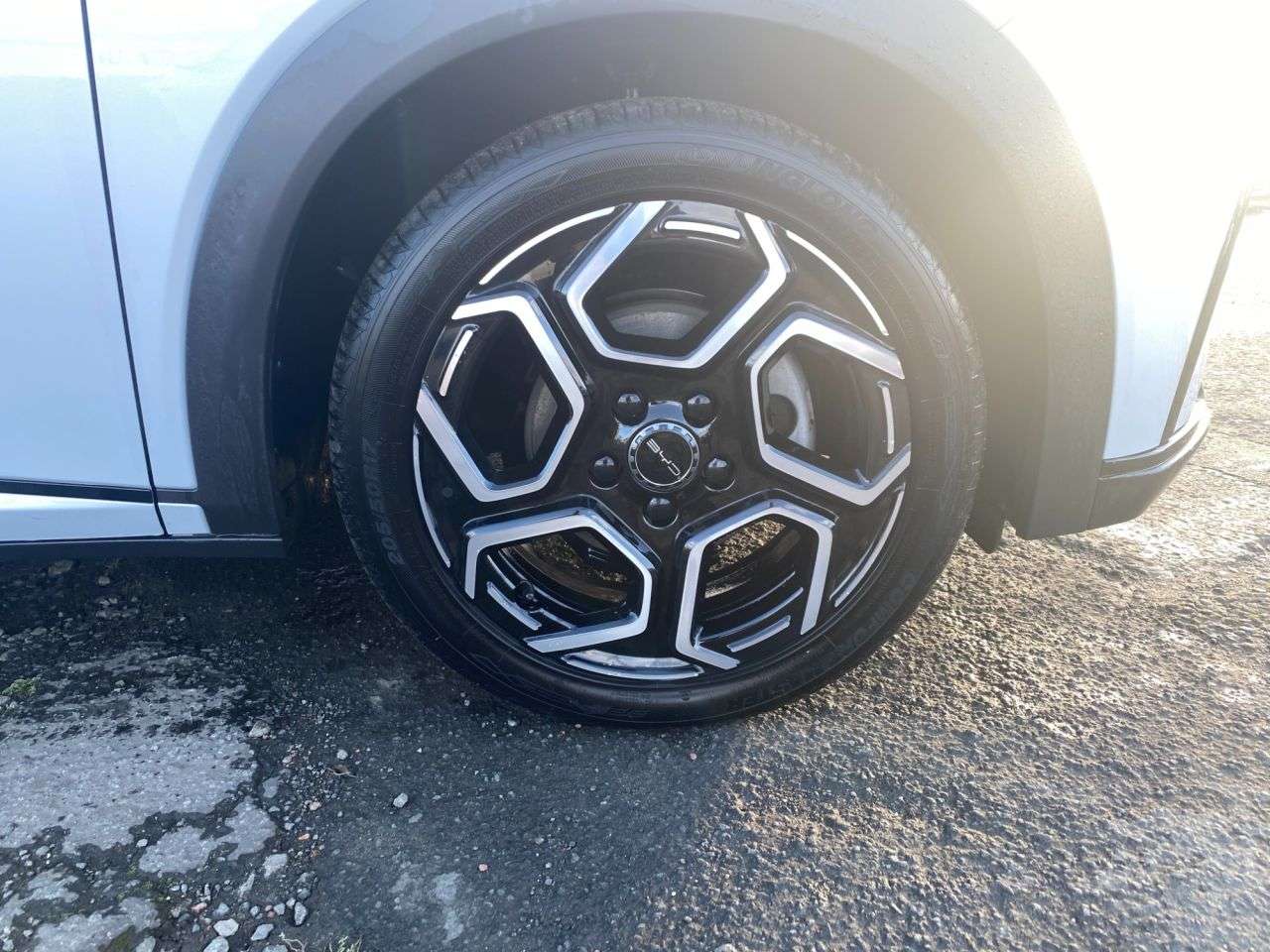 2024 BYD DOLPHIN 2024 BYD DOLPHIN