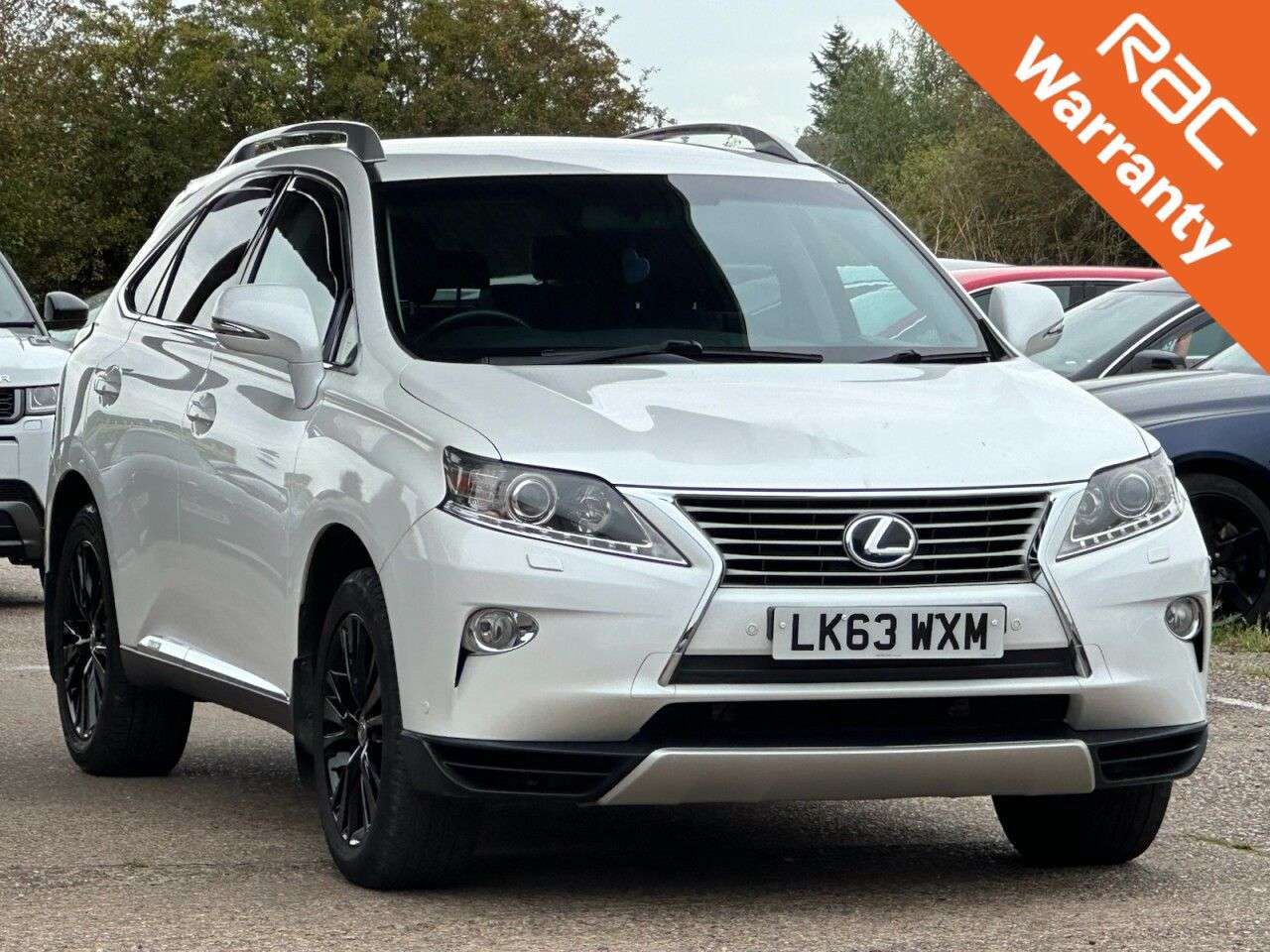 2013 LEXUS RX 2013 LEXUS RX