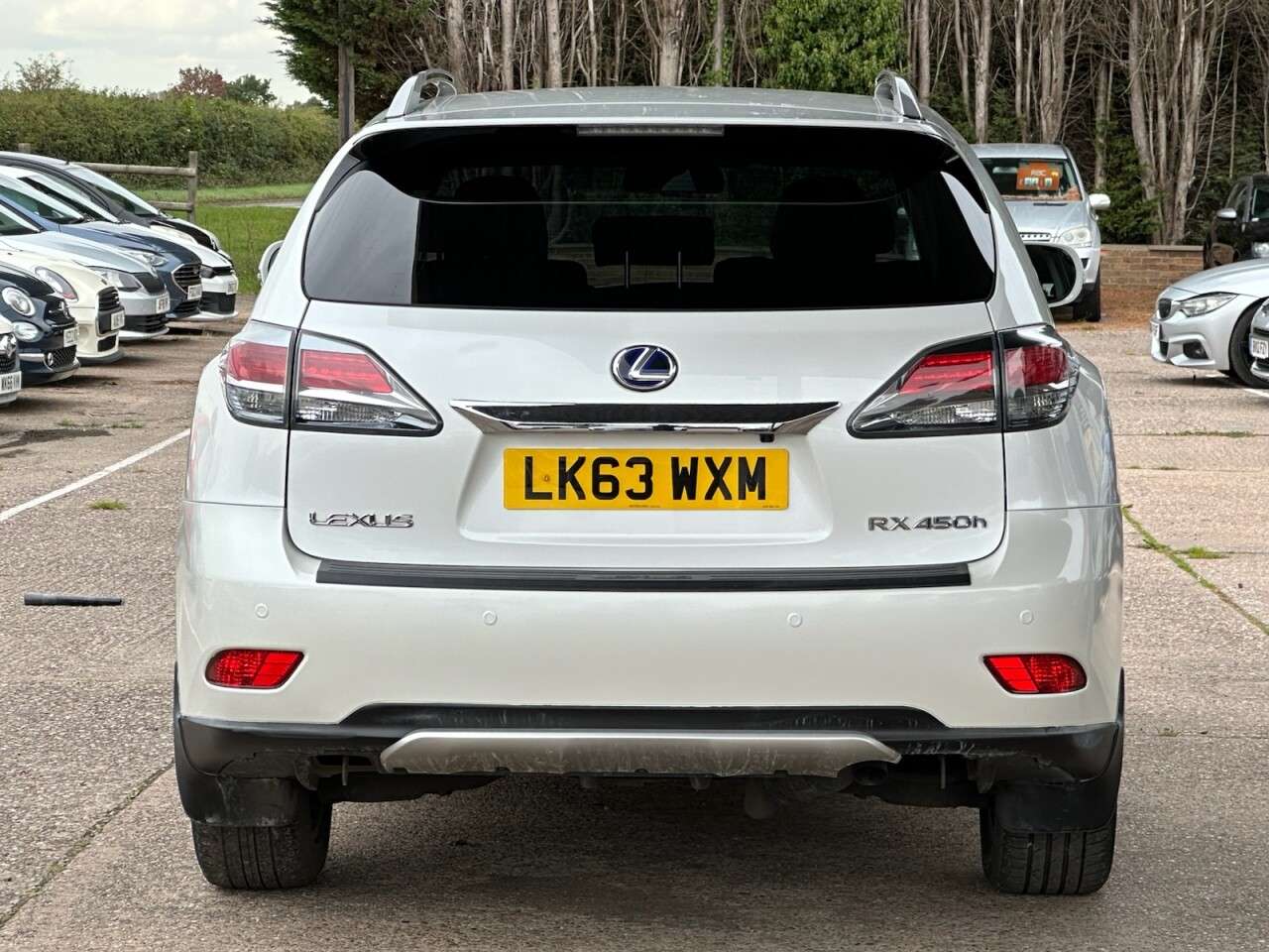 2013 LEXUS RX 2013 LEXUS RX