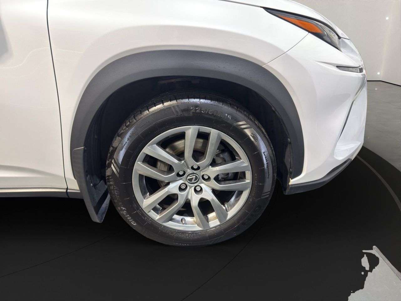 2019 LEXUS NX 2019 LEXUS NX