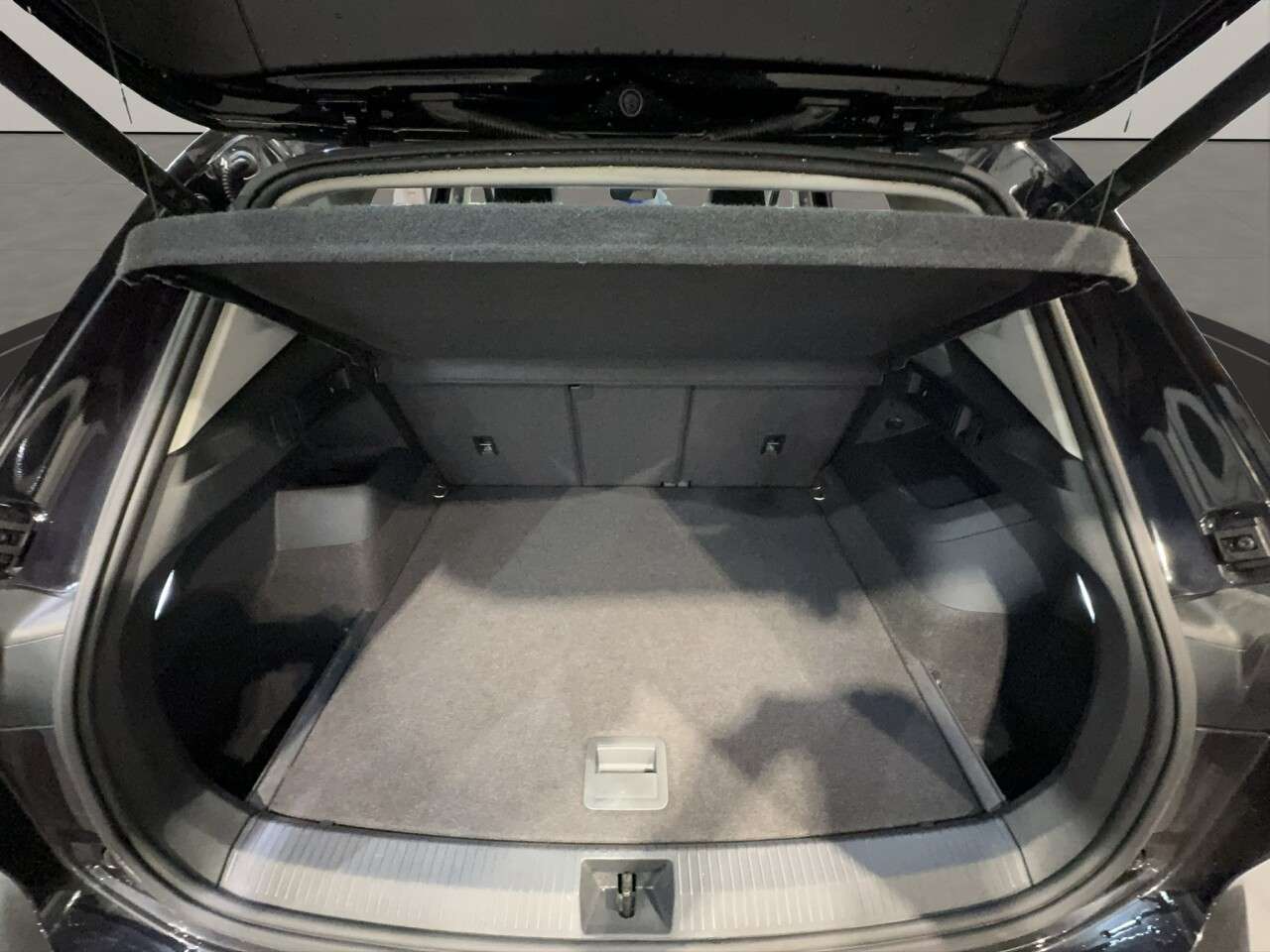 2024 VOLKSWAGEN TIGUAN 2024 VOLKSWAGEN TIGUAN