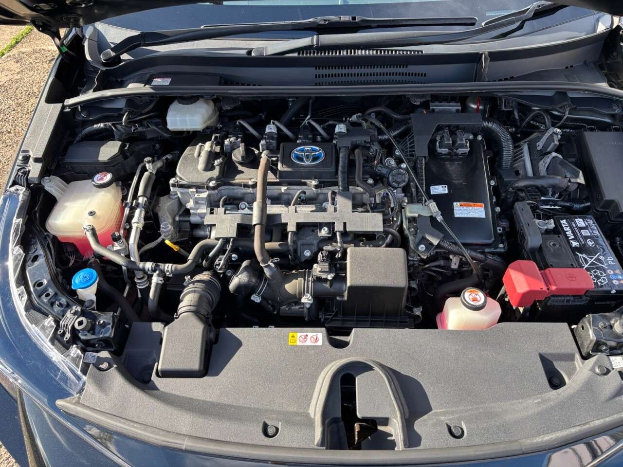 2019 TOYOTA COROLLA 2019 TOYOTA COROLLA