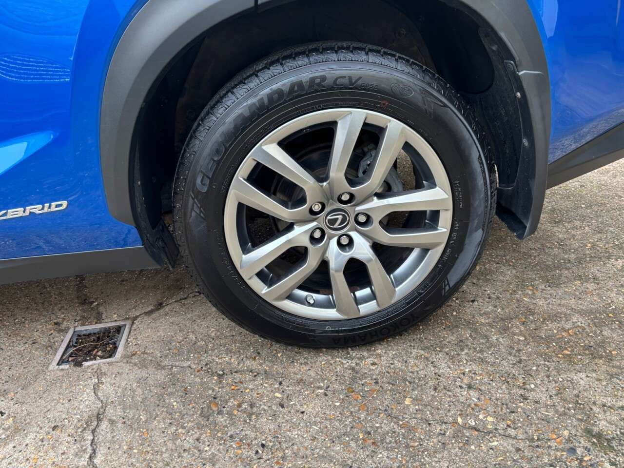 2019 LEXUS NX 2019 LEXUS NX