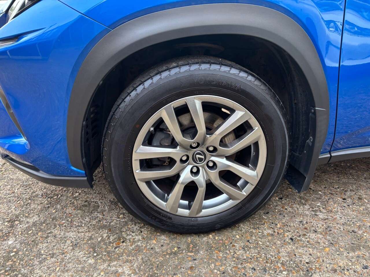 2019 LEXUS NX 2019 LEXUS NX