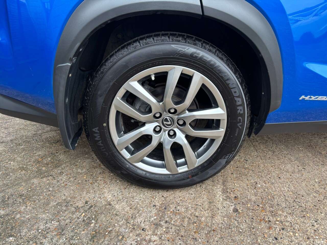 2019 LEXUS NX 2019 LEXUS NX