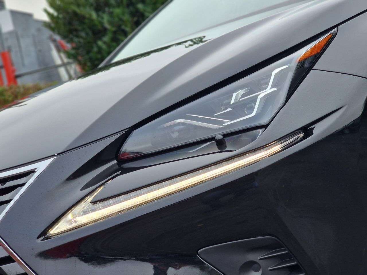 2019 LEXUS NX 2019 LEXUS NX