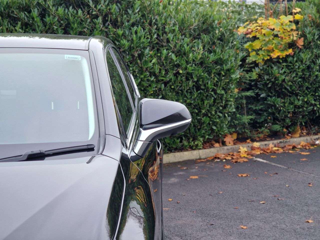 2019 LEXUS NX 2019 LEXUS NX