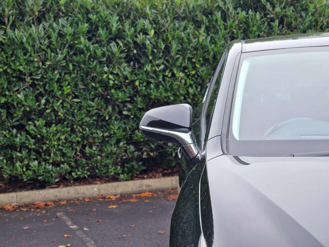 2019 LEXUS NX 2019 LEXUS NX