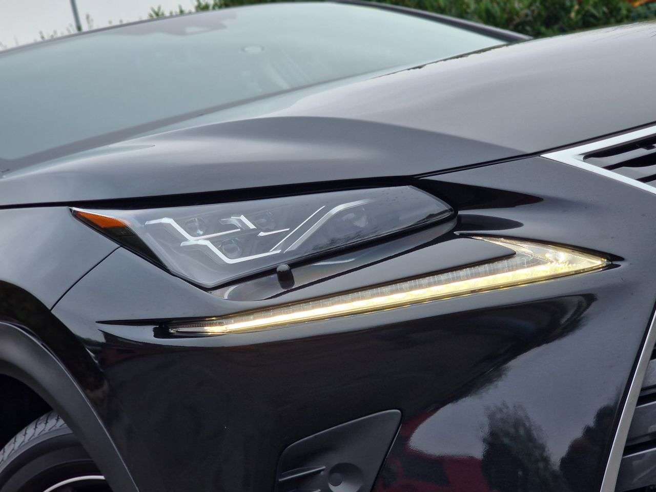 2019 LEXUS NX 2019 LEXUS NX