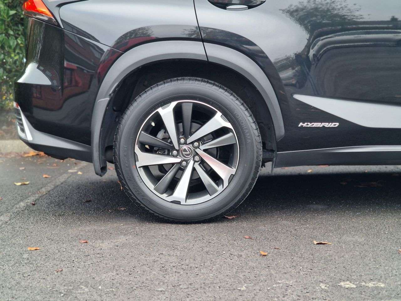 2019 LEXUS NX 2019 LEXUS NX