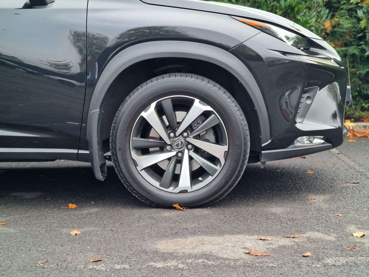 2019 LEXUS NX 2019 LEXUS NX