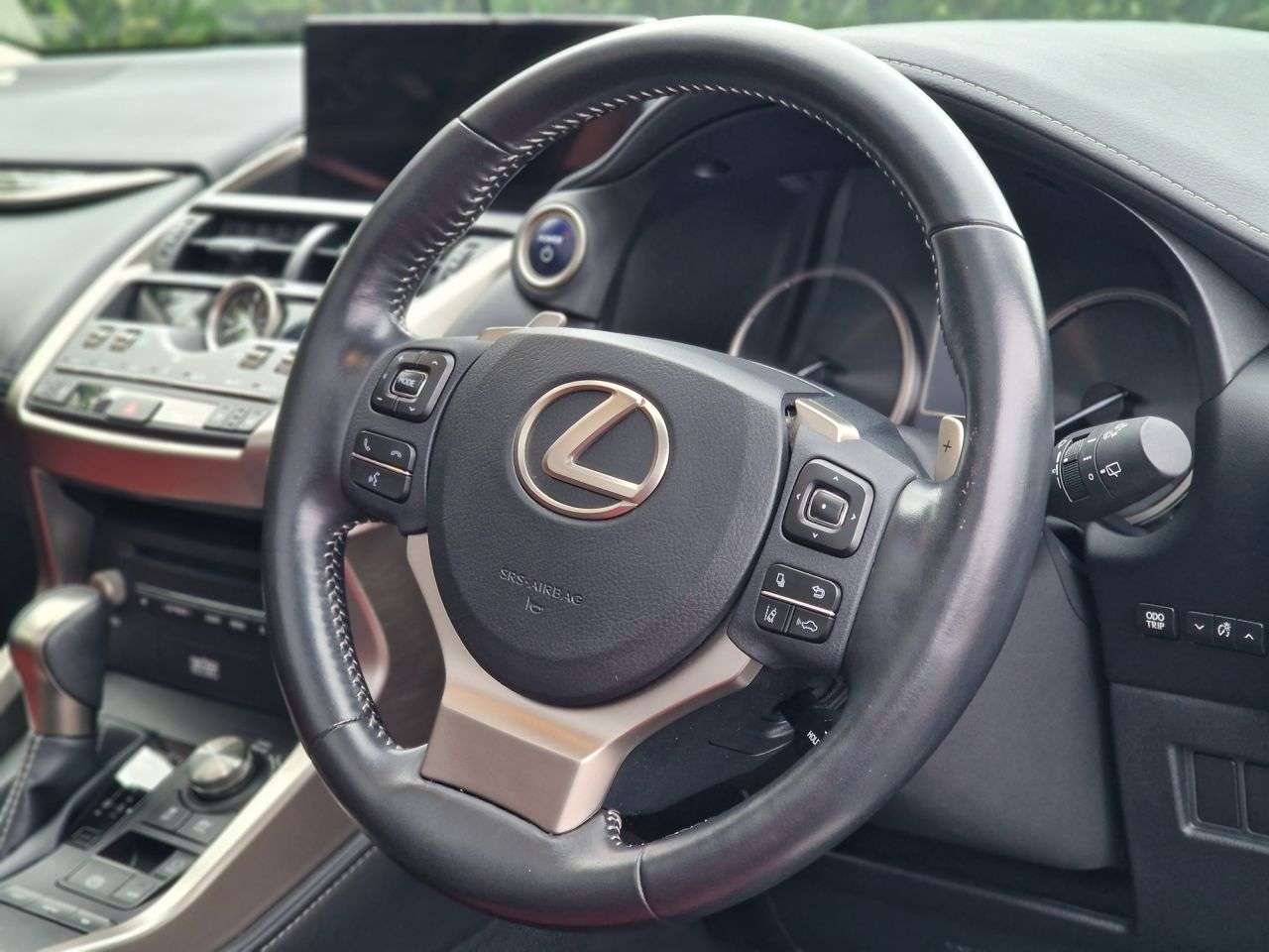 2019 LEXUS NX 2019 LEXUS NX