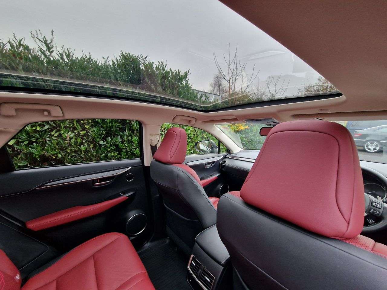 2019 LEXUS NX 2019 LEXUS NX