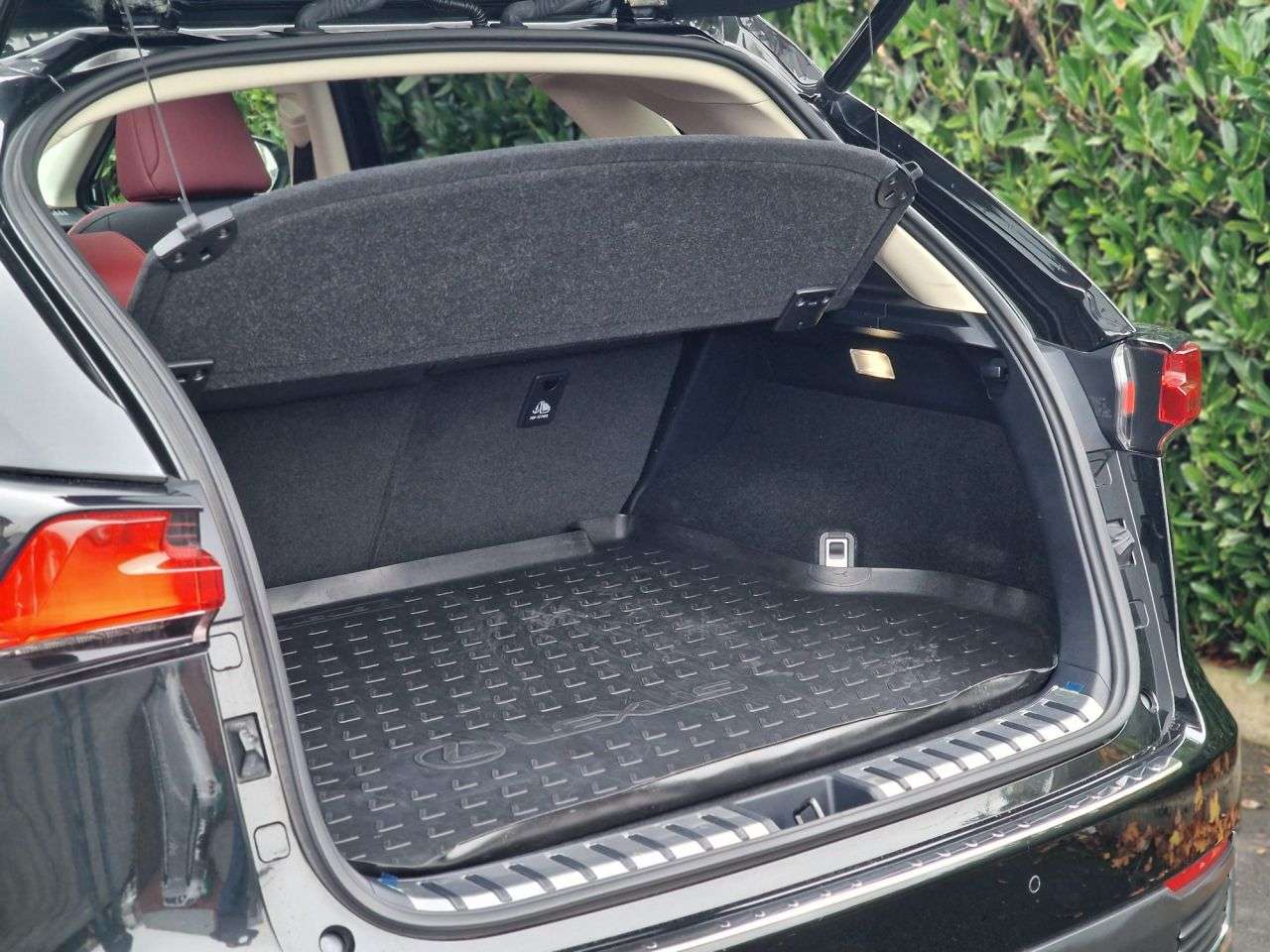 2019 LEXUS NX 2019 LEXUS NX