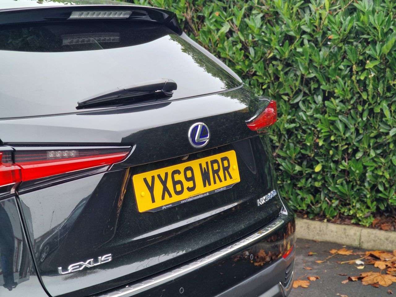 2019 LEXUS NX 2019 LEXUS NX